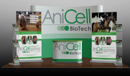 anicell-biotech
